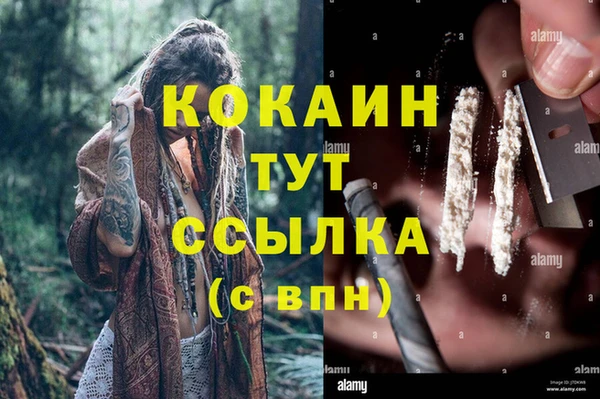 дмт Алексеевка