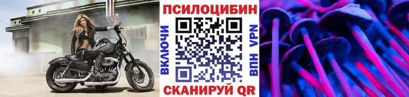 Псилоцибиновые грибы MAGIC MUSHROOMS shop Telegram Талица